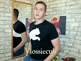 Vlossiecub