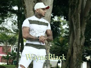 WayneBlack