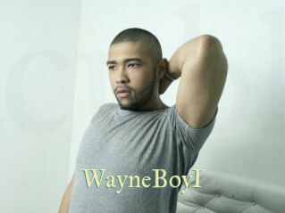WayneBoyI