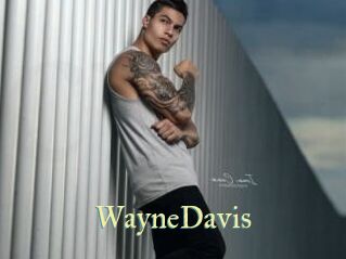 WayneDavis