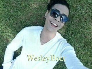 Wesley_Boix