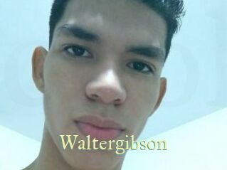 Waltergibson