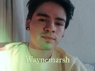 Waynemarsh