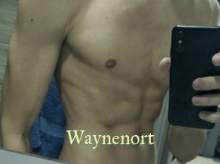 Waynenort