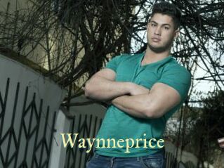Waynneprice