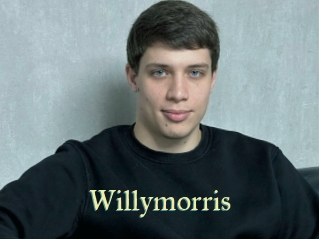 willymorris Cube Lille