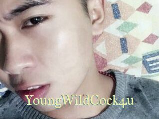 YoungWildCock4u