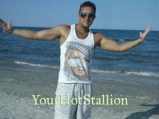 YourHotStallion