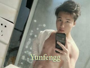 Yunfengg