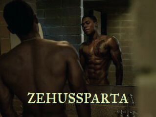 ZEHUS_SPARTA