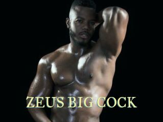 ZEUS_BIG_COCK Cube Lille