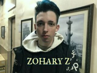 ZOHARY_Z Cube Lille