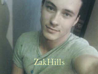 ZakHills Cube Lille