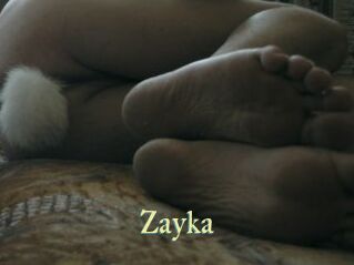 Zayka Cube Lille