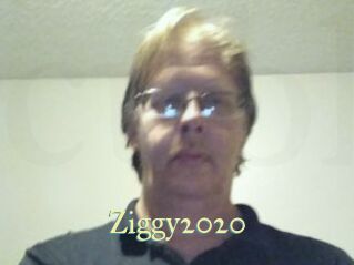 Ziggy2020