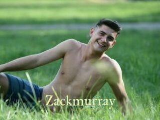 zackmurray Cube Lille